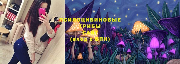 гидропоника Арсеньев
