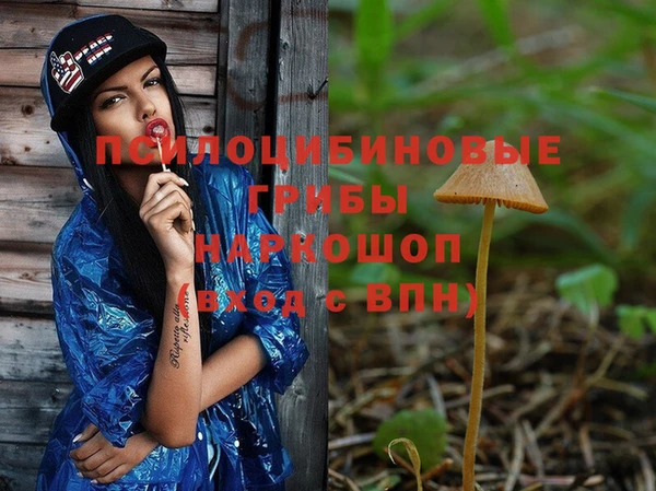 винт Аркадак