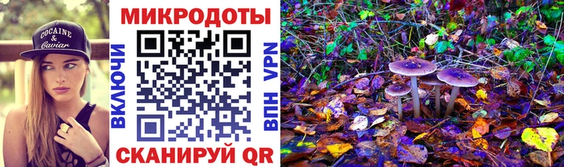 кракен ТОР Строитель Галлюциногенные грибы Magic Shrooms