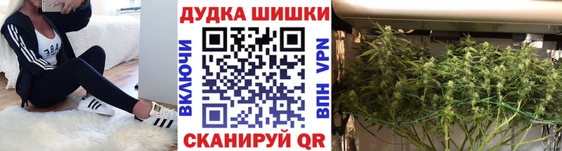 Канабис White Widow  mega вход  Строитель 